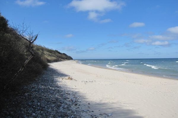 Strand 02 (Web) Strand 02 (Web)