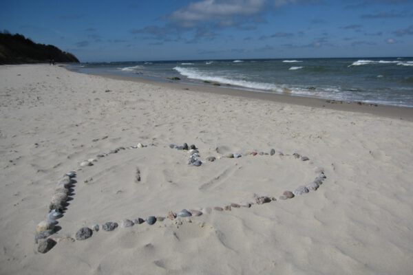 Strand 06 (Web) Strand 06 (Web)