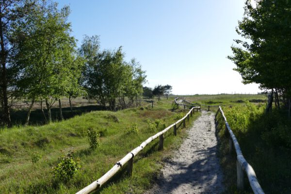 Umland 01 (Web) Umland 01 (Web)