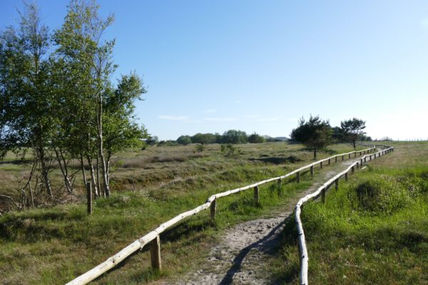 Umland 02 (Web) Umland 02 (Web)