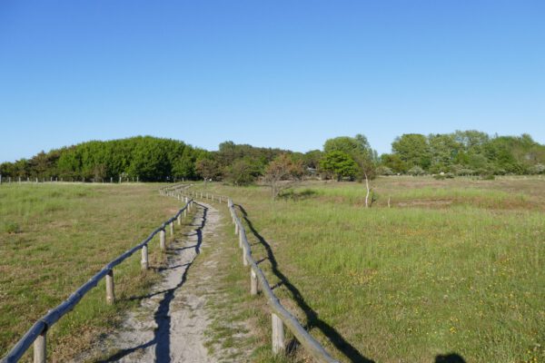 Umland 03 (Web) Umland 03 (Web)