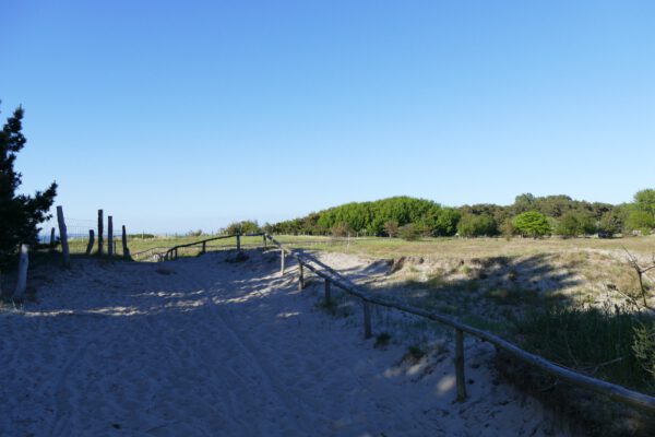 Umland 05 (Web) Umland 05 (Web)