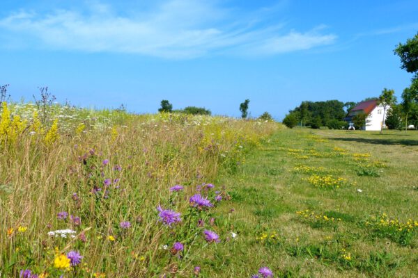 Umland 08 (Web) Umland 08 (Web)